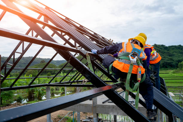 Best Roof Gutter Cleaning  in Steilacoom, WA