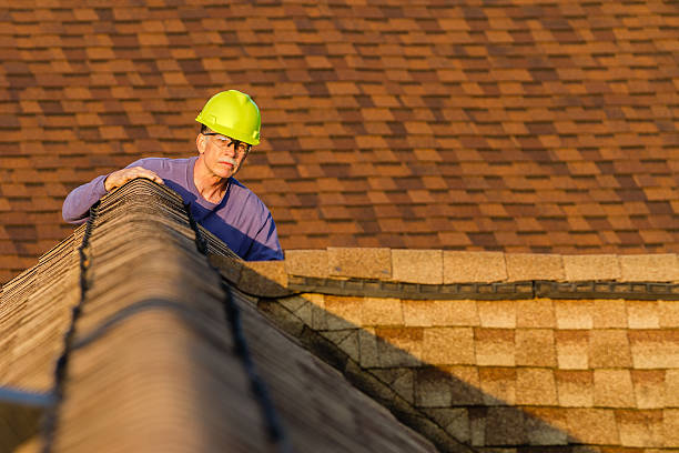 Best Local Roofing Companies  in Steilacoom, WA