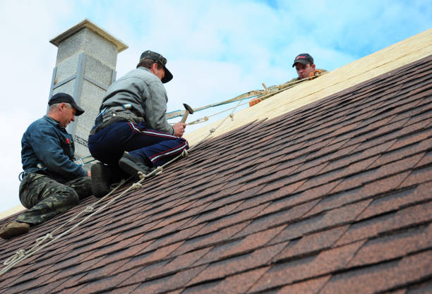 Best Roof Leak Repair  in Steilacoom, WA